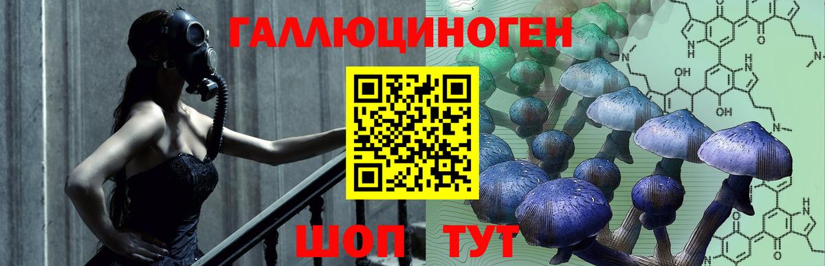 Псилоцибиновые грибы прущие грибы  Галлюциногенные грибы мицелий  Уварово  Вход с VPN 